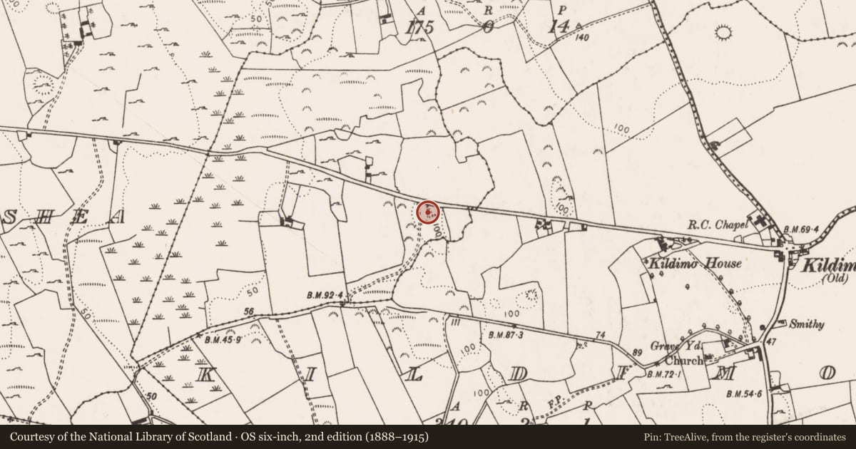 Ordnance Survey six-inch map, 2nd edition (1888–1915) covering the location of Ringfort - rath, Knockroe, County Limerick, with a pin at the register's coordinates