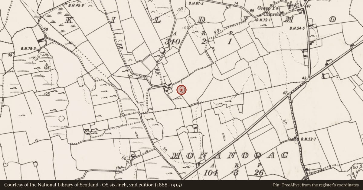 Ordnance Survey six-inch map, 2nd edition (1888–1915) covering the location of Enclosure, Kildimo, County Limerick, with a pin at the register's coordinates