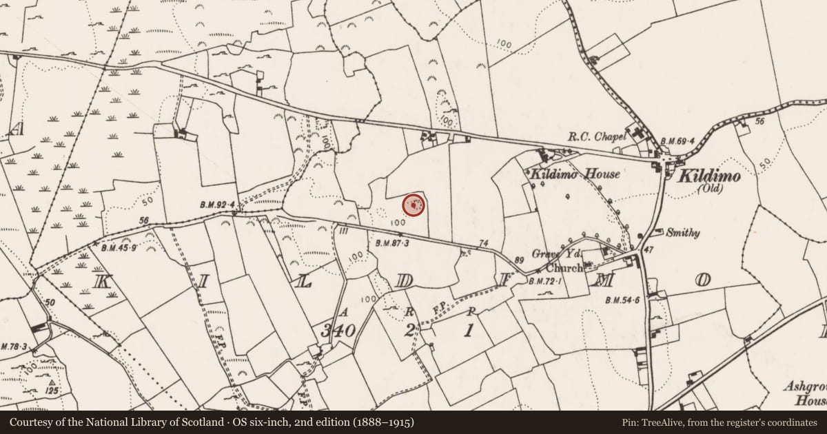 Ordnance Survey six-inch map, 2nd edition (1888–1915) covering the location of Ringfort - rath, Kildimo, County Limerick, with a pin at the register's coordinates