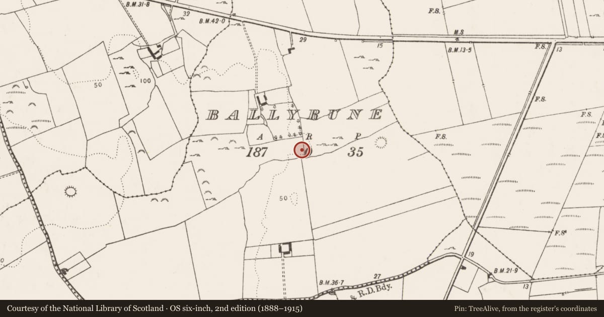 Ordnance Survey six-inch map, 2nd edition (1888–1915) covering the location of Ringfort - rath, Ballyrune, County Limerick, with a pin at the register's coordinates