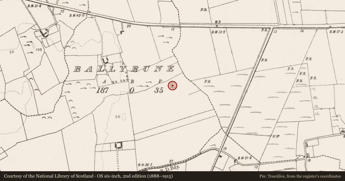 Ordnance Survey six-inch map, 2nd edition (1888–1915) covering the location of Ringfort - rath, Ballyrune, County Limerick, with a pin at the register's coordinates