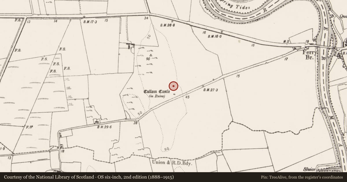 Ordnance Survey six-inch map, 2nd edition (1888–1915) covering the location of Bawn, Court, County Limerick, with a pin at the register's coordinates