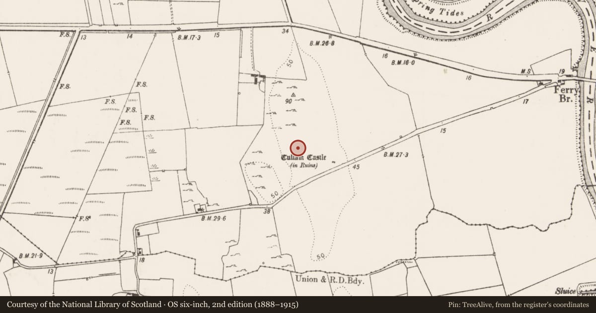 Ordnance Survey six-inch map, 2nd edition (1888–1915) covering the location of Settlement cluster, Court, County Limerick, with a pin at the register's coordinates