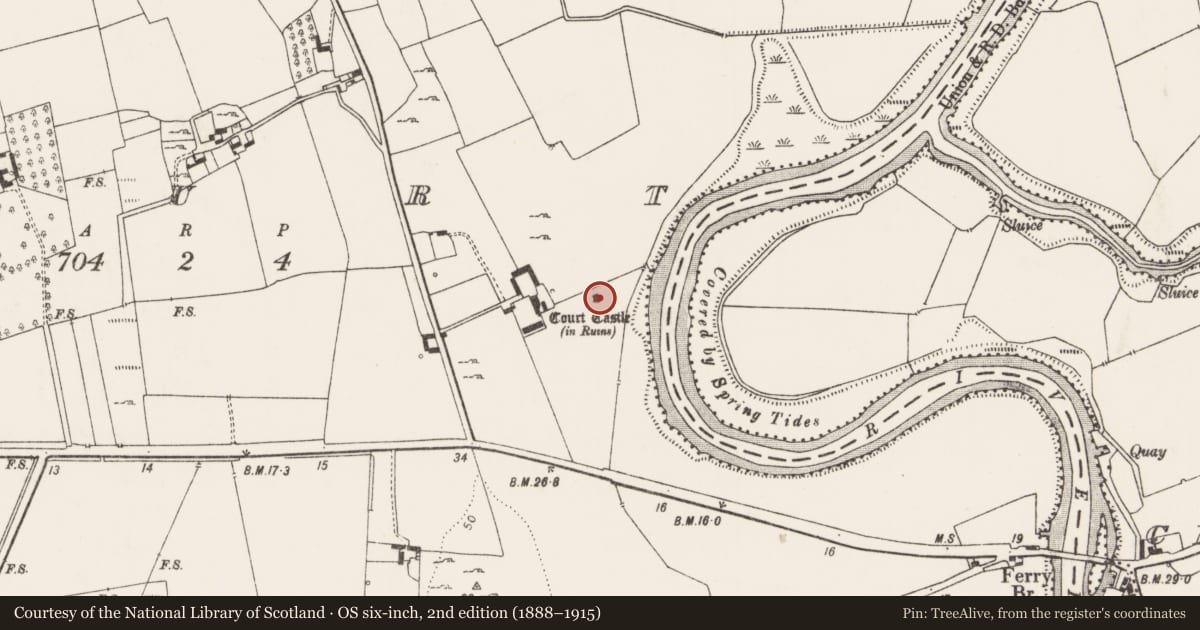 Ordnance Survey six-inch map, 2nd edition (1888–1915) covering the location of Castle - tower house, Court, County Limerick, with a pin at the register's coordinates