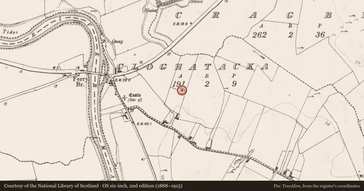 Ordnance Survey six-inch map, 2nd edition (1888–1915) covering the location of Earthwork, Cloghatacka, County Limerick, with a pin at the register's coordinates