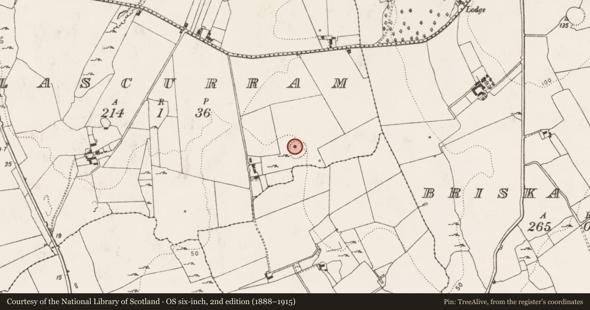 Ordnance Survey six-inch map, 2nd edition (1888–1915) covering the location of Enclosure, Glascurram, County Limerick, with a pin at the register's coordinates