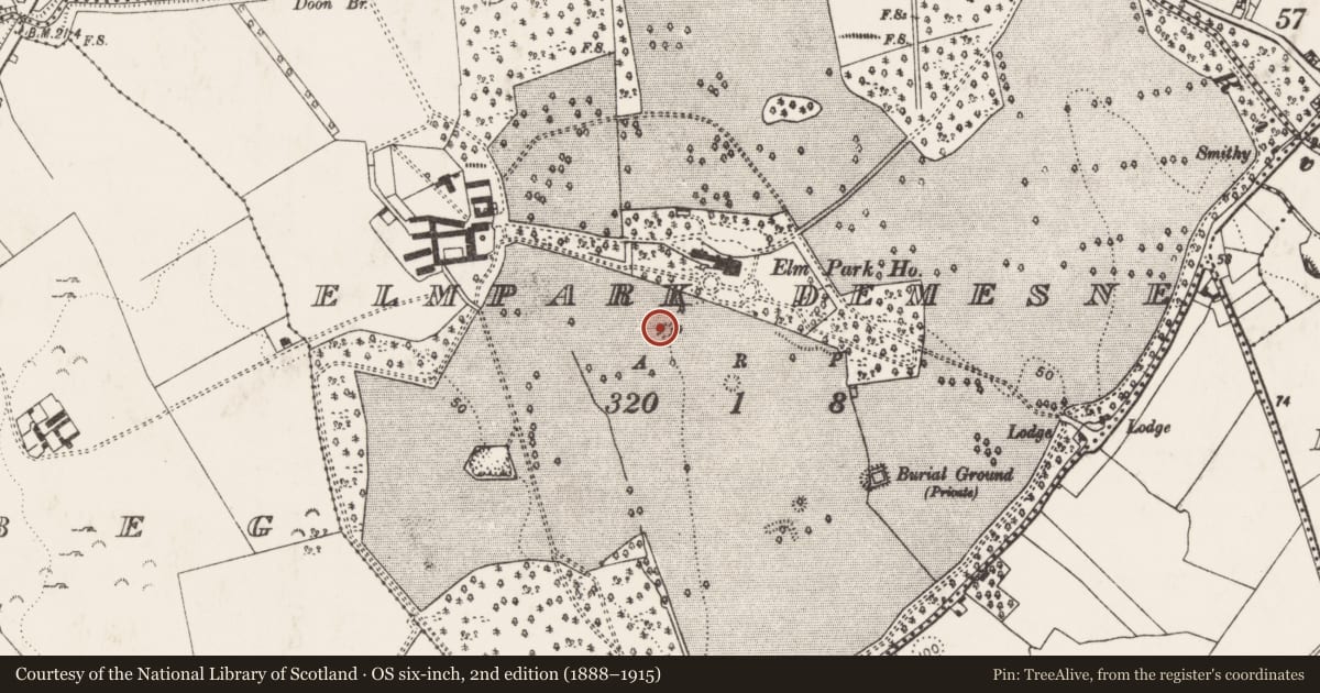 Ordnance Survey six-inch map, 2nd edition (1888–1915) covering the location of Designed landscape feature, Elmpark Demesne, County Limerick, with a pin at the register's coordinates