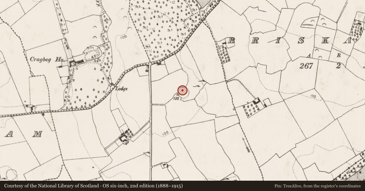 Ordnance Survey six-inch map, 2nd edition (1888–1915) covering the location of Ringfort - rath, Briska More, County Limerick, with a pin at the register's coordinates