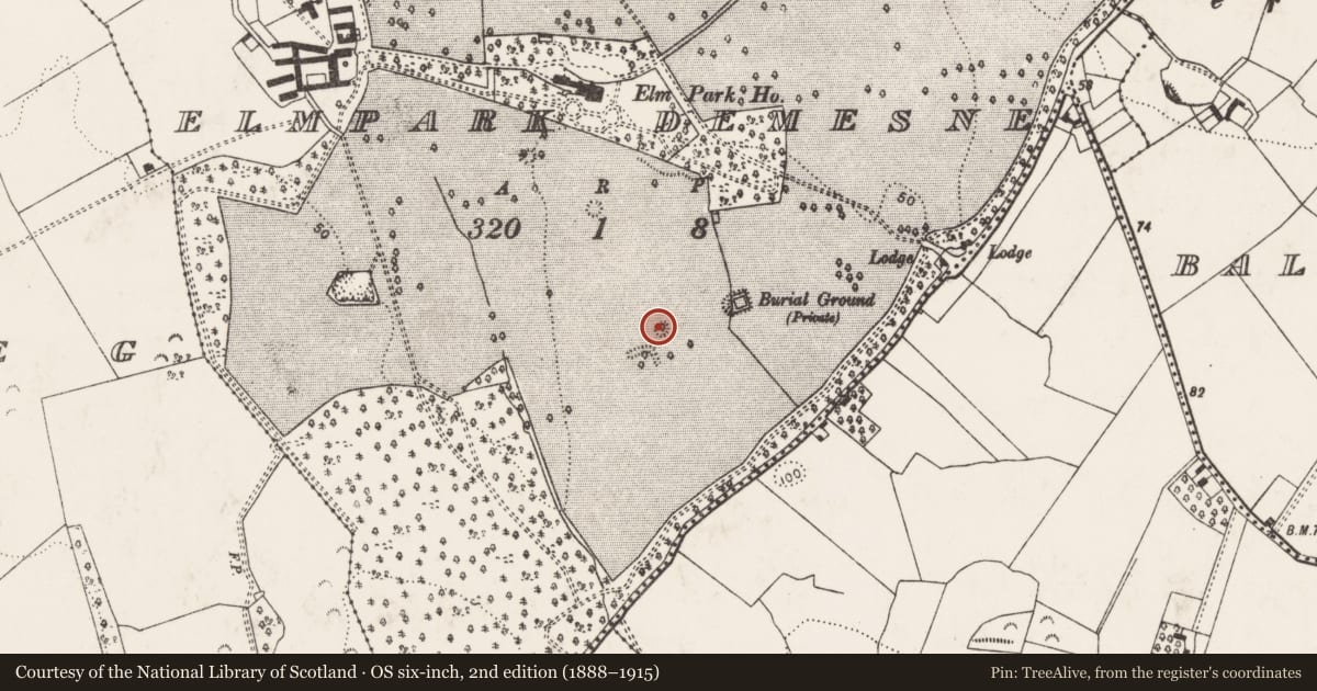 Ordnance Survey six-inch map, 2nd edition (1888–1915) covering the location of Designed landscape feature, Elmpark Demesne, County Limerick, with a pin at the register's coordinates