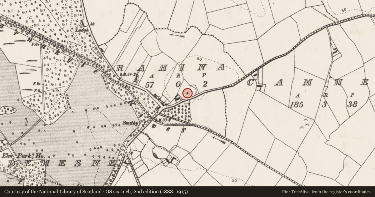 Ordnance Survey six-inch map, 2nd edition (1888–1915) covering the location of Enclosure - large enclosure, Rahina, County Limerick, with a pin at the register's coordinates