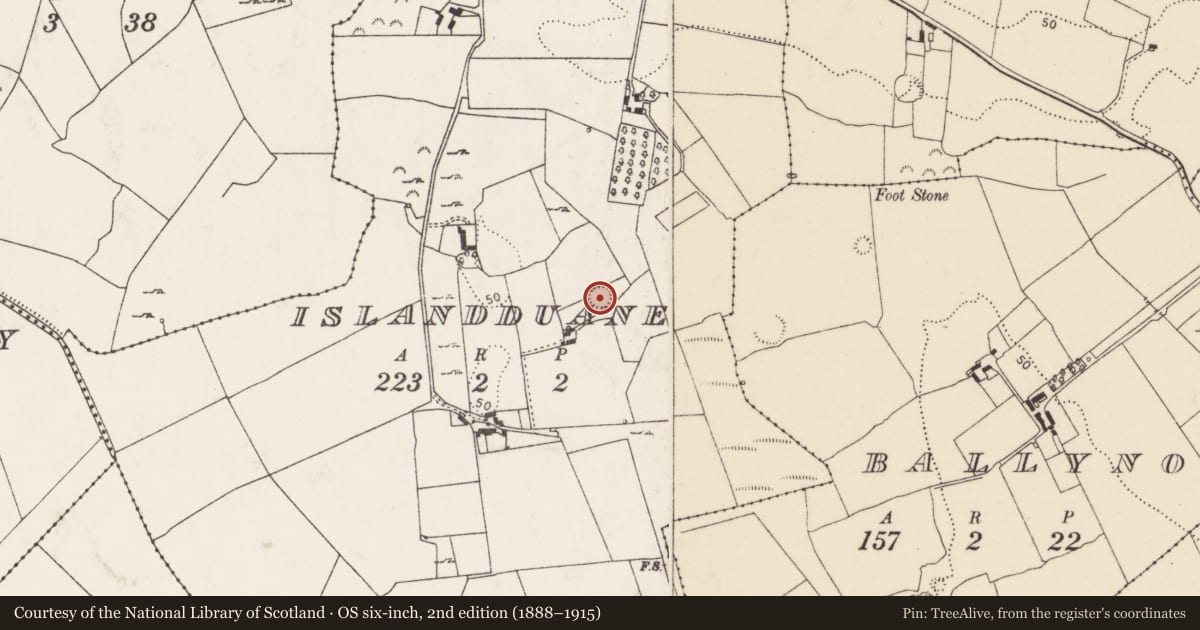 Ordnance Survey six-inch map, 2nd edition (1888–1915) covering the location of Enclosure, Island-Duane, County Limerick, with a pin at the register's coordinates