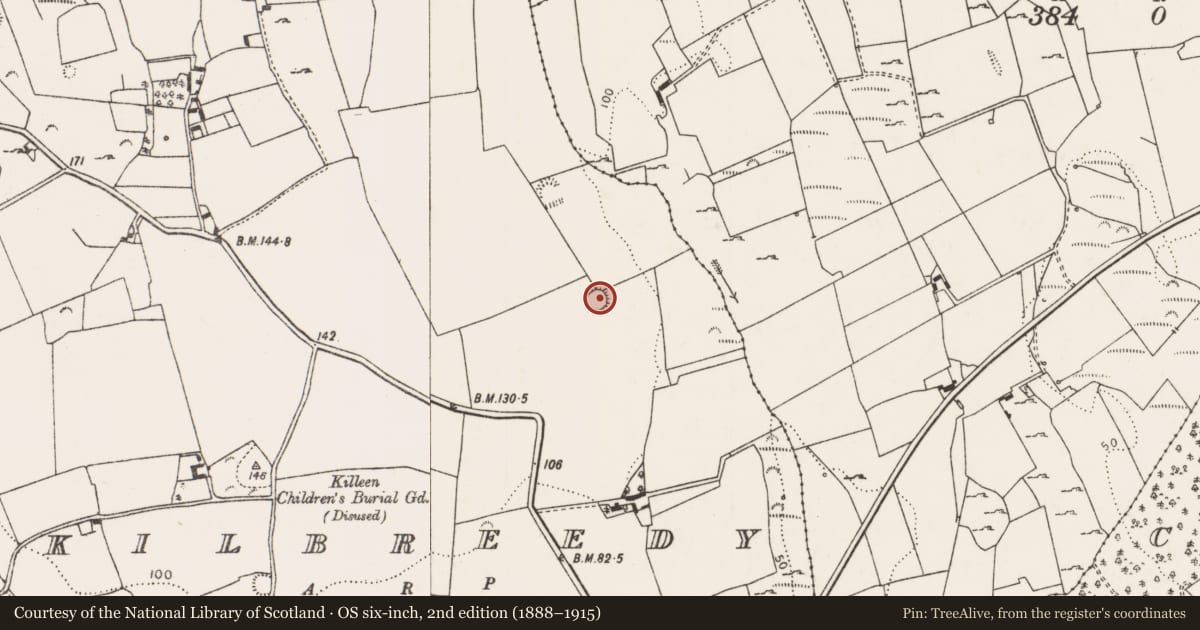 Ordnance Survey six-inch map, 2nd edition (1888–1915) covering the location of Ringfort - rath, Kilbreedy, County Limerick, with a pin at the register's coordinates