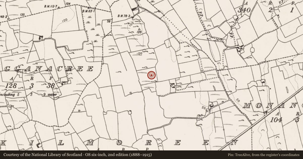 Ordnance Survey six-inch map, 2nd edition (1888–1915) covering the location of Ringfort - rath, Kilmoreen, County Limerick, with a pin at the register's coordinates