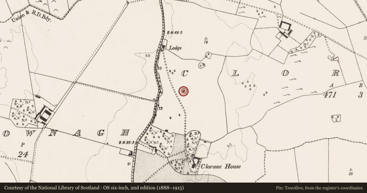 Ordnance Survey six-inch map, 2nd edition (1888–1915) covering the location of Ringfort - rath, Clorhane, County Limerick, with a pin at the register's coordinates