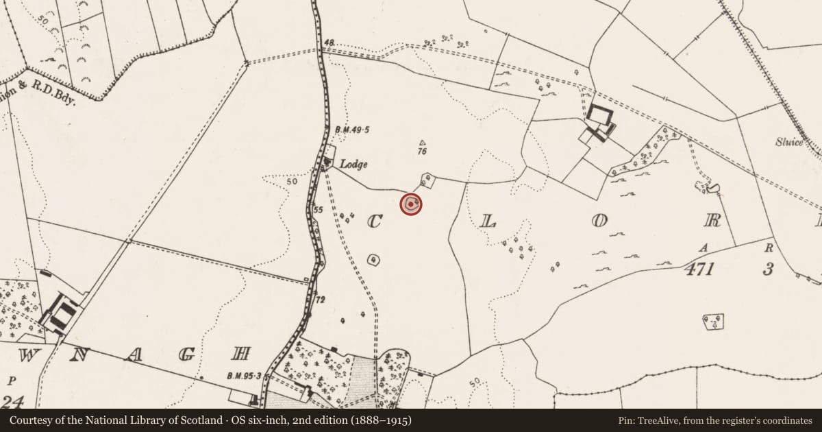 Ordnance Survey six-inch map, 2nd edition (1888–1915) covering the location of Ringfort - rath, Clorhane, County Limerick, with a pin at the register's coordinates
