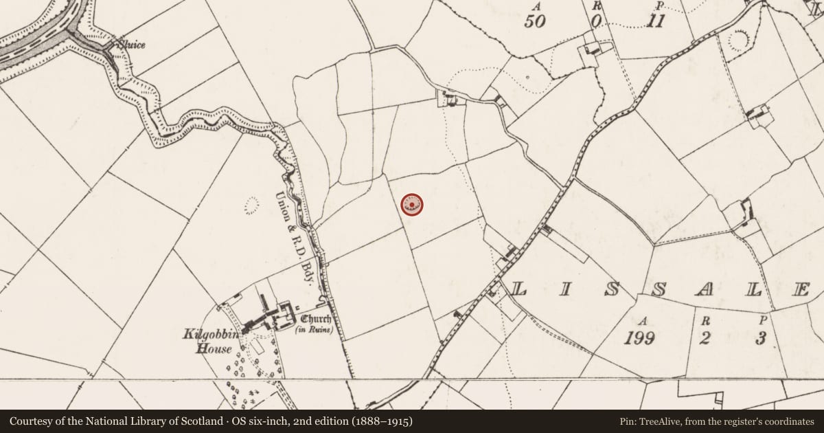 Ordnance Survey six-inch map, 2nd edition (1888–1915) covering the location of Ringfort - cashel, Cloonanna, County Limerick, with a pin at the register's coordinates