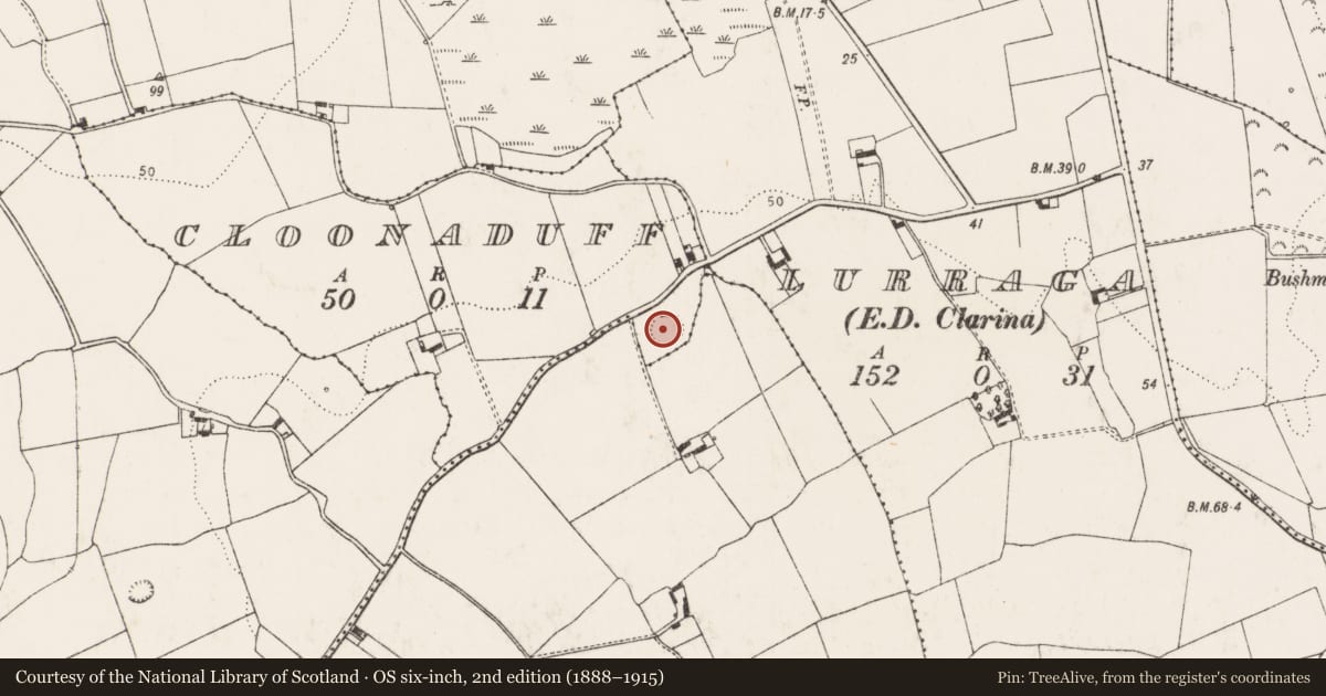 Ordnance Survey six-inch map, 2nd edition (1888–1915) covering the location of Ringfort - rath, Cloonaduff, County Limerick, with a pin at the register's coordinates
