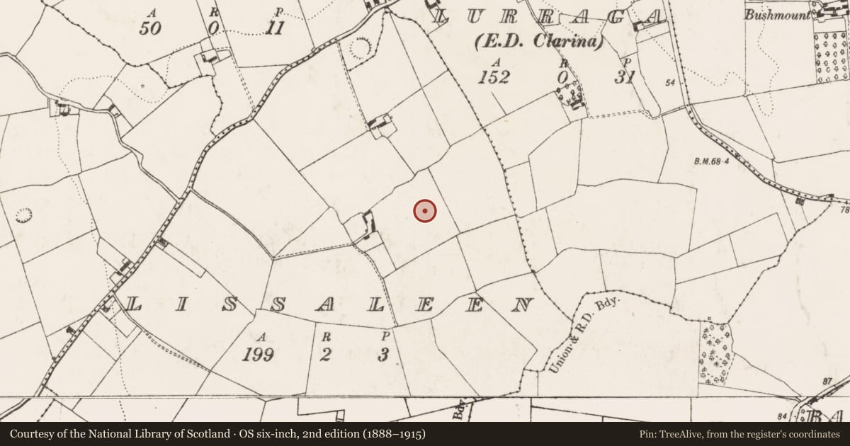 Ordnance Survey six-inch map, 2nd edition (1888–1915) covering the location of Enclosure, Lissaleen, County Limerick, with a pin at the register's coordinates