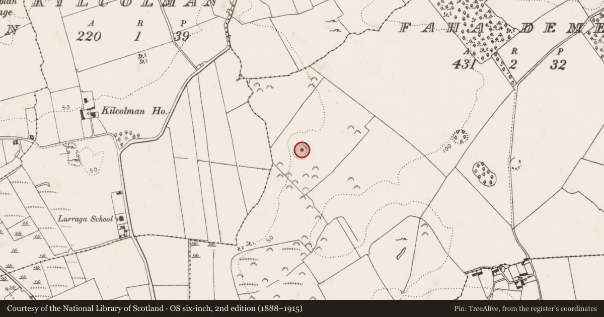 Ordnance Survey six-inch map, 2nd edition (1888–1915) covering the location of Ringfort - rath, Faha Demesne, County Limerick, with a pin at the register's coordinates