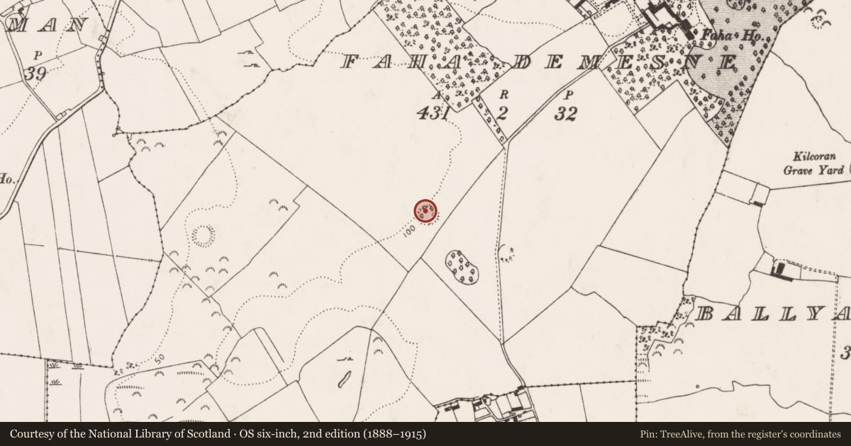 Ordnance Survey six-inch map, 2nd edition (1888–1915) covering the location of Ringfort - rath, Faha Demesne, County Limerick, with a pin at the register's coordinates