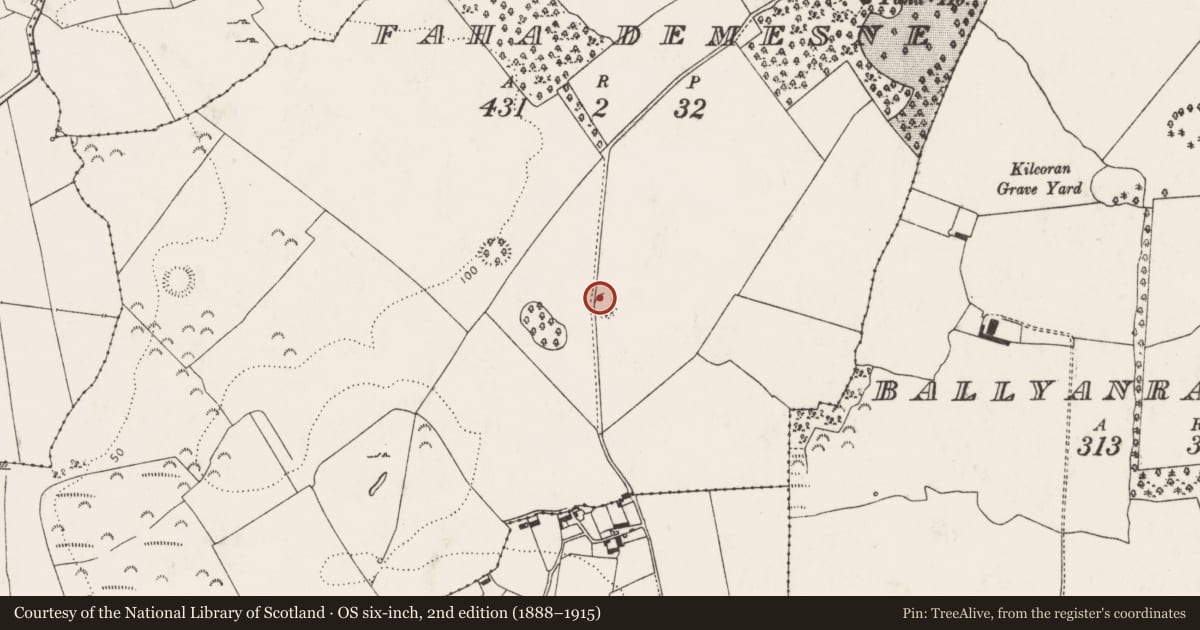 Ordnance Survey six-inch map, 2nd edition (1888–1915) covering the location of Designed landscape - tree-ring, Faha Demesne, County Limerick, with a pin at the register's coordinates