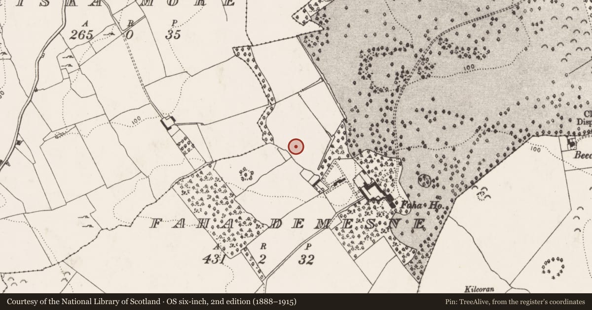 Ordnance Survey six-inch map, 2nd edition (1888–1915) covering the location of Barrow - unclassified, Faha Demesne, County Limerick, with a pin at the register's coordinates