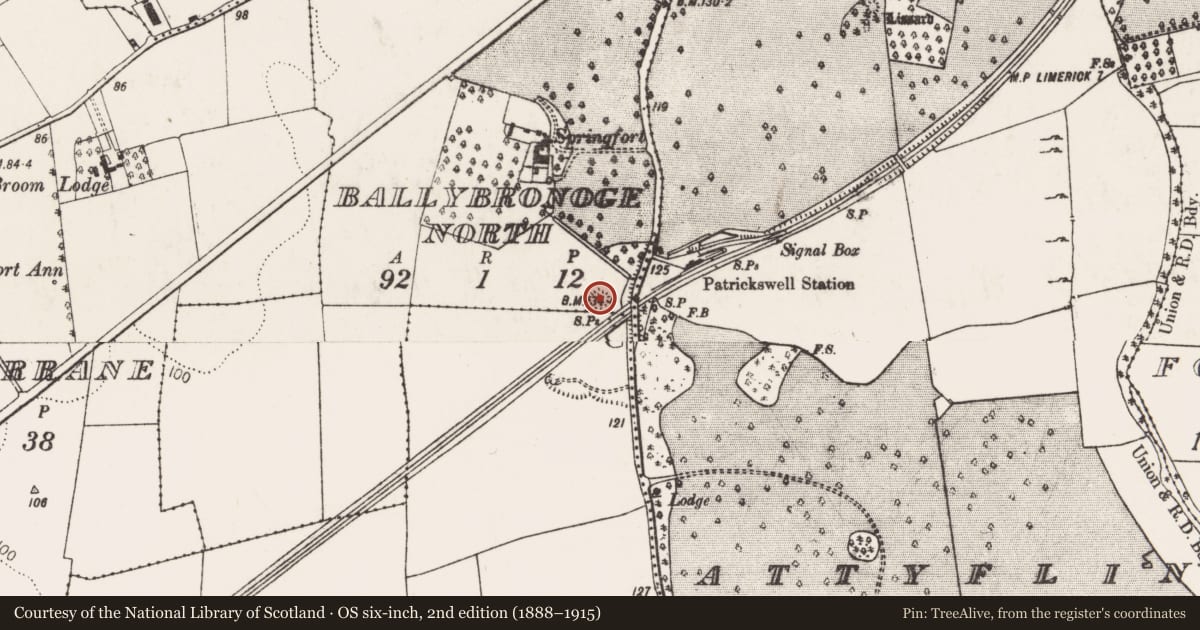 Ordnance Survey six-inch map, 2nd edition (1888–1915) covering the location of Ringfort - rath, Ballybronoge North, County Limerick, with a pin at the register's coordinates
