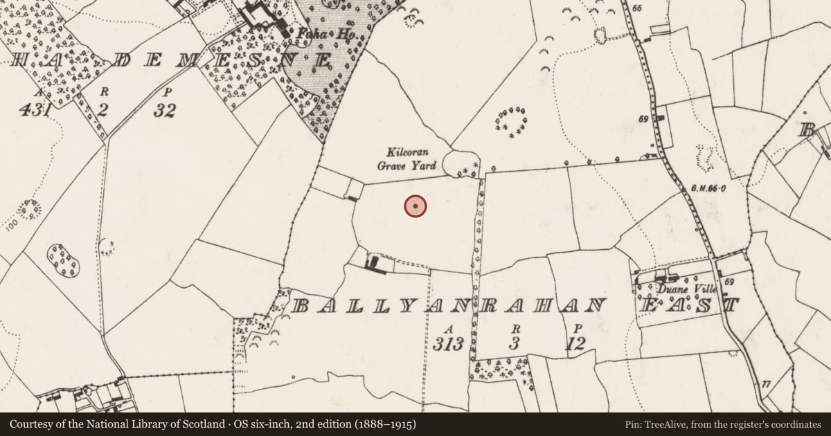 Ordnance Survey six-inch map, 2nd edition (1888–1915) covering the location of Kiln - lime, Ballyanrahan East, County Limerick, with a pin at the register's coordinates