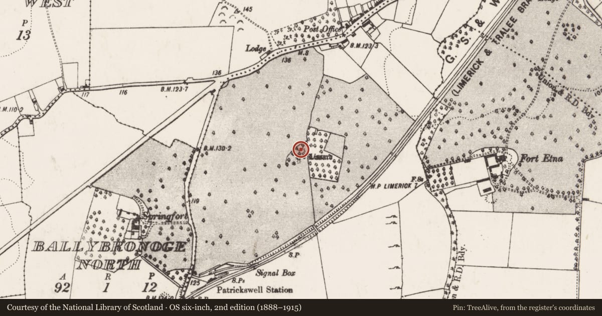 Ordnance Survey six-inch map, 2nd edition (1888–1915) covering the location of Ringfort - rath, Attyflin, County Limerick, with a pin at the register's coordinates