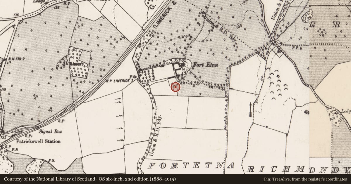 Ordnance Survey six-inch map, 2nd edition (1888–1915) covering the location of Designed landscape feature, Fortetna, County Limerick, with a pin at the register's coordinates