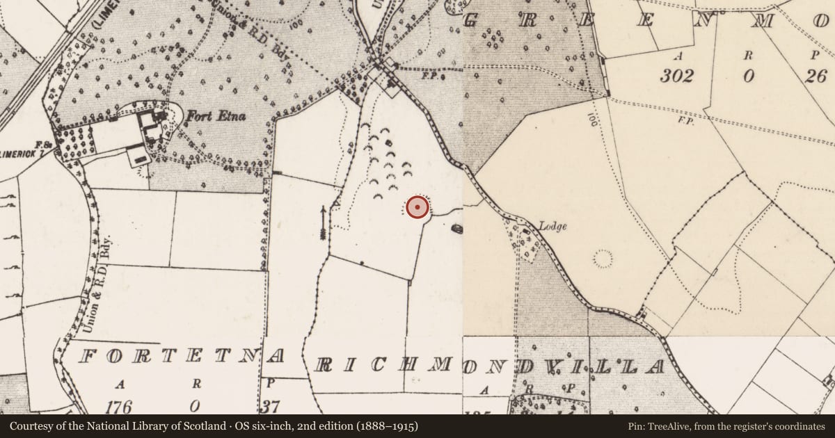 Ordnance Survey six-inch map, 2nd edition (1888–1915) covering the location of Ringfort - rath, Richmondvilla, County Limerick, with a pin at the register's coordinates
