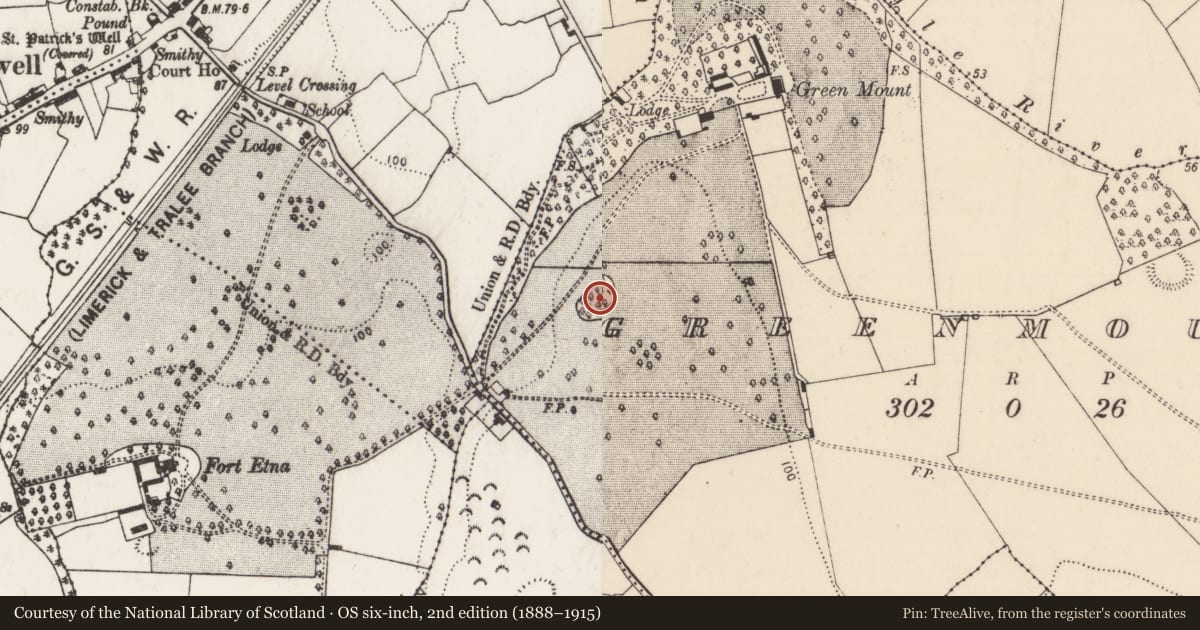 Ordnance Survey six-inch map, 2nd edition (1888–1915) covering the location of Designed landscape - tree-ring, Greenmount, County Limerick, with a pin at the register's coordinates