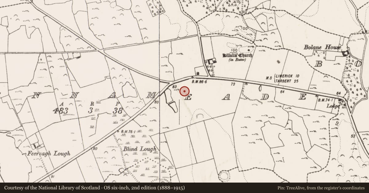 Ordnance Survey six-inch map, 2nd edition (1888–1915) covering the location of Enclosure, Glennameade, County Limerick, with a pin at the register's coordinates