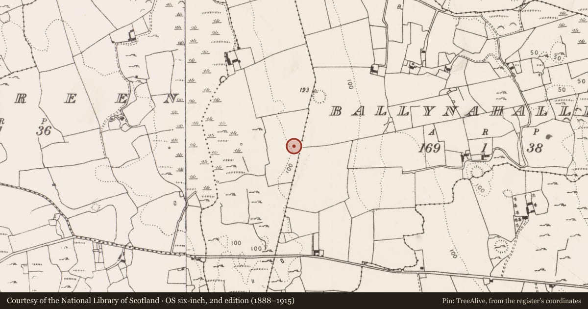 Ordnance Survey six-inch map, 2nd edition (1888–1915) covering the location of Ringfort - cashel, Glennameade, County Limerick, with a pin at the register's coordinates