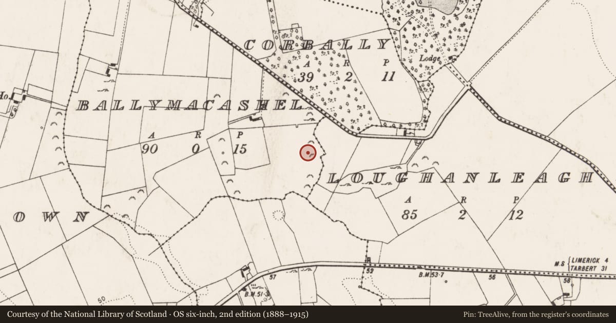 Ordnance Survey six-inch map, 2nd edition (1888–1915) covering the location of Fulacht fia, Ballymacashel, County Limerick, with a pin at the register's coordinates