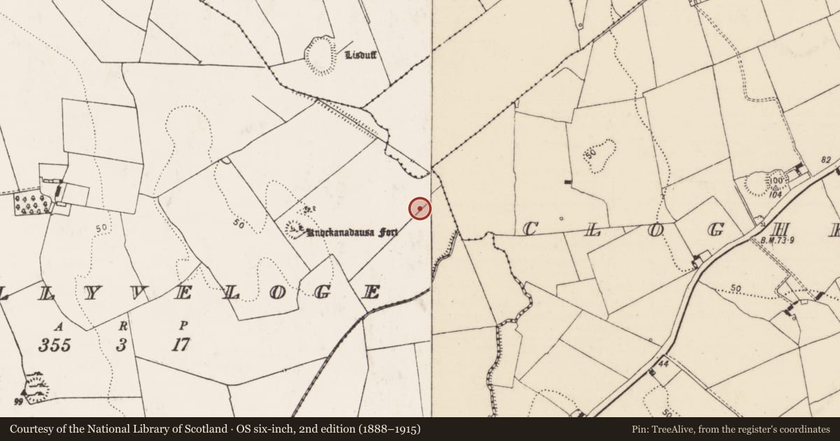 Ordnance Survey six-inch map, 2nd edition (1888–1915) covering the location of Standing stone, Ballyveloge, County Limerick, with a pin at the register's coordinates