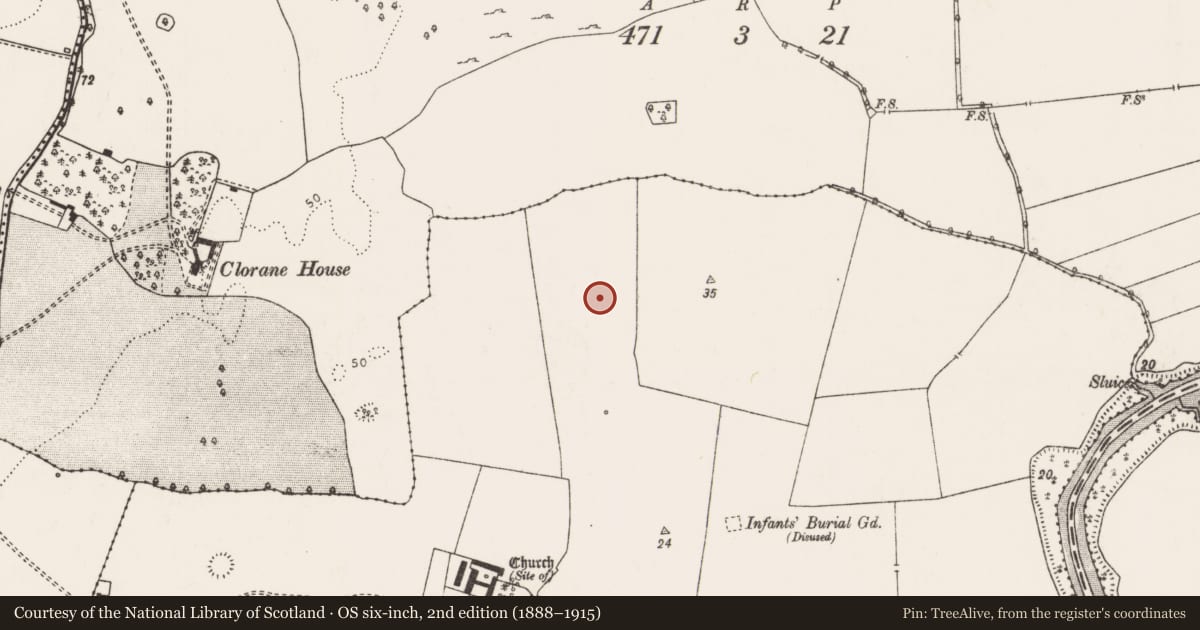 Ordnance Survey six-inch map, 2nd edition (1888–1915) covering the location of Ringfort - rath, Kilcurly, County Limerick, with a pin at the register's coordinates