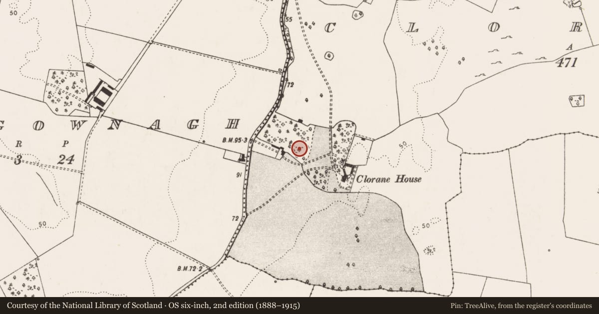Ordnance Survey six-inch map, 2nd edition (1888–1915) covering the location of Ringfort - rath, Clorhane, County Limerick, with a pin at the register's coordinates