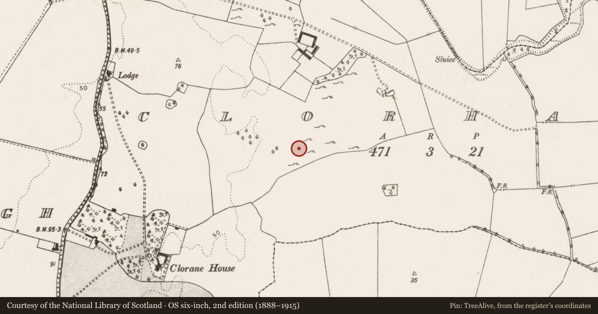 Ordnance Survey six-inch map, 2nd edition (1888–1915) covering the location of Ringfort - rath, Clorhane, County Limerick, with a pin at the register's coordinates