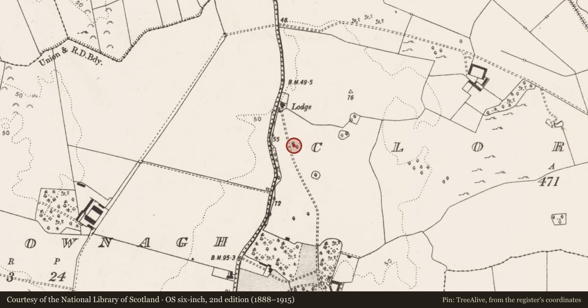Ordnance Survey six-inch map, 2nd edition (1888–1915) covering the location of Ringfort - rath, Clorhane, County Limerick, with a pin at the register's coordinates