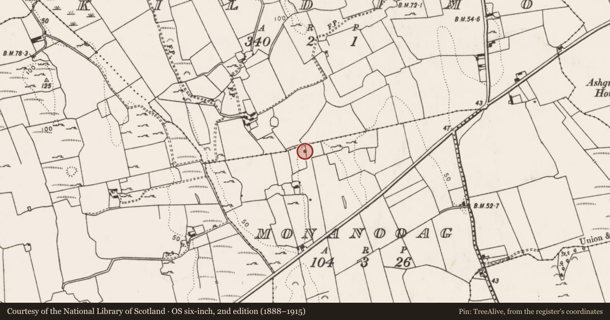 Ordnance Survey six-inch map, 2nd edition (1888–1915) covering the location of Fulacht fia, Monanooag, County Limerick, with a pin at the register's coordinates