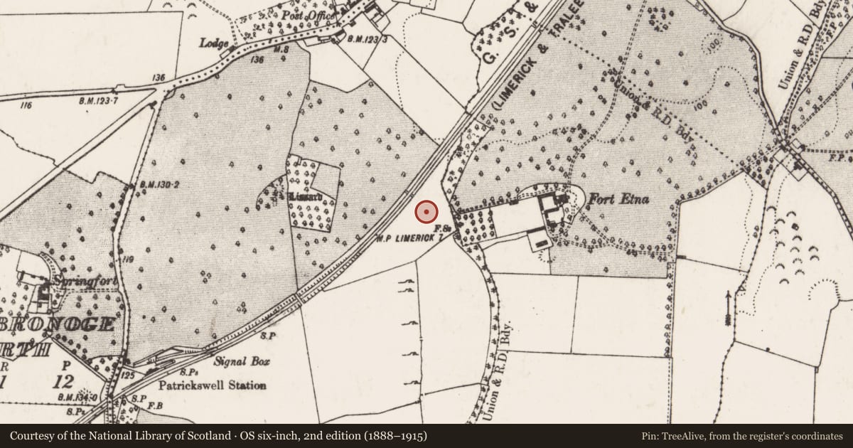 Ordnance Survey six-inch map, 2nd edition (1888–1915) covering the location of Fulacht fia, Attyflin, County Limerick, with a pin at the register's coordinates