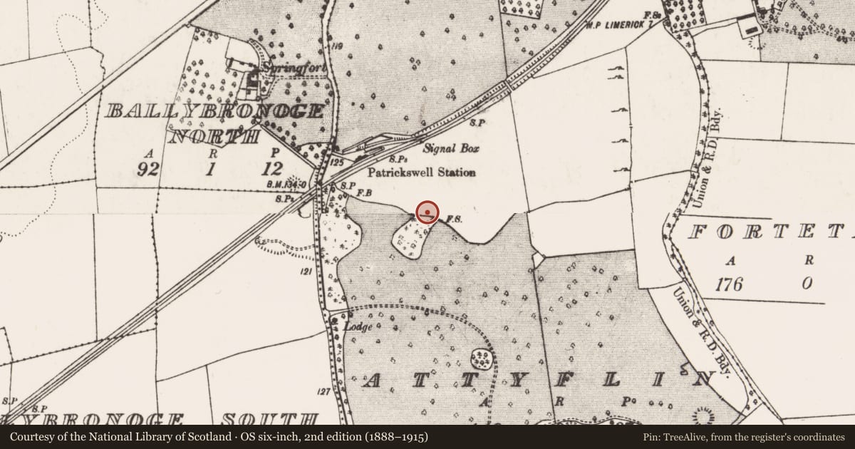 Ordnance Survey six-inch map, 2nd edition (1888–1915) covering the location of Designed landscape feature, Attyflin, County Limerick, with a pin at the register's coordinates