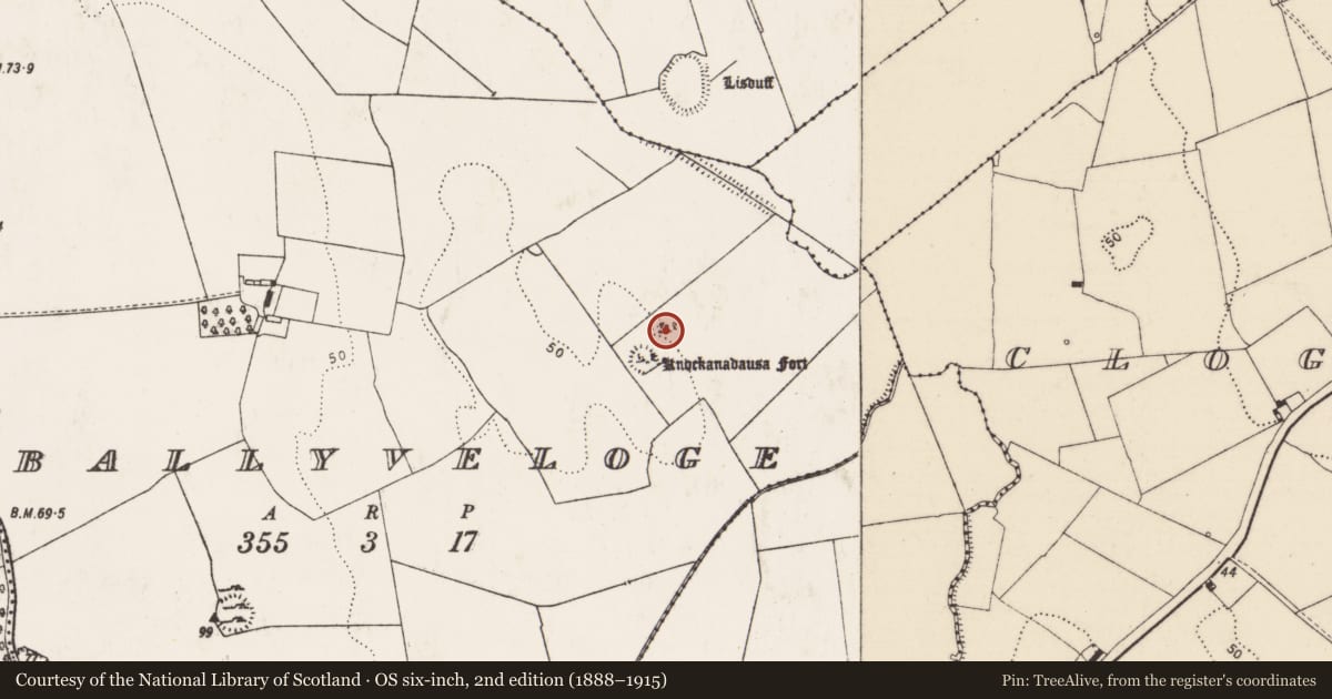 Ordnance Survey six-inch map, 2nd edition (1888–1915) covering the location of Ringfort - cashel, Ballyveloge, County Limerick, with a pin at the register's coordinates