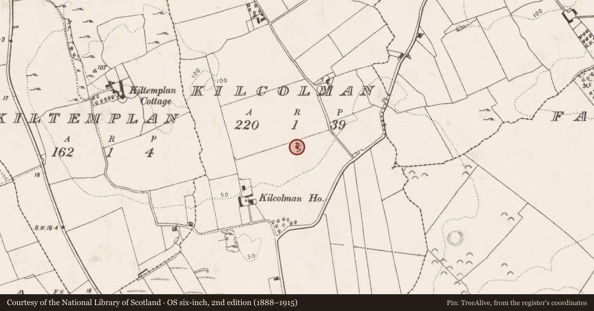 Ordnance Survey six-inch map, 2nd edition (1888–1915) covering the location of Designed landscape feature, Kilcolman, County Limerick, with a pin at the register's coordinates