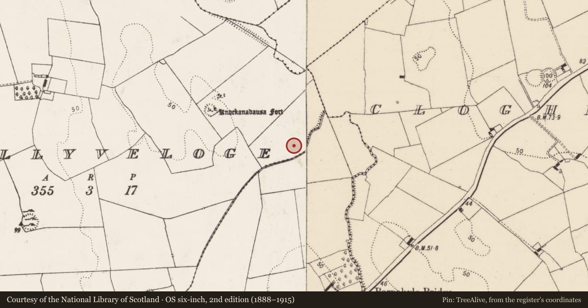 Ordnance Survey six-inch map, 2nd edition (1888–1915) covering the location of Fulacht fia, Ballyveloge, County Limerick, with a pin at the register's coordinates
