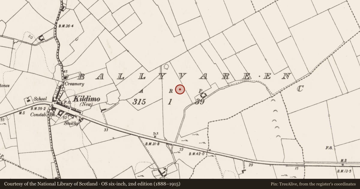 Ordnance Survey six-inch map, 2nd edition (1888–1915) covering the location of Fulacht fia, Ballyvareen, County Limerick, with a pin at the register's coordinates