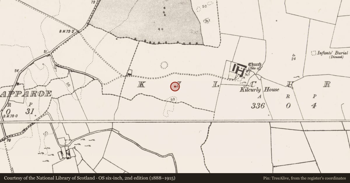 Ordnance Survey six-inch map, 2nd edition (1888–1915) covering the location of Settlement cluster, Kilcurly, County Limerick, with a pin at the register's coordinates