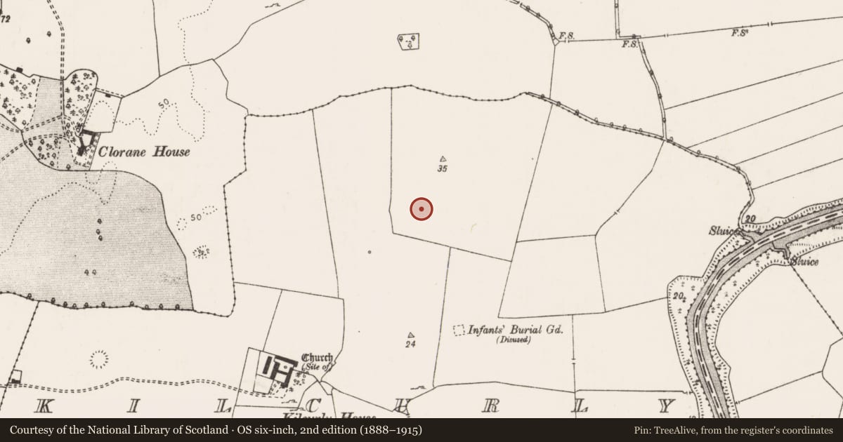 Ordnance Survey six-inch map, 2nd edition (1888–1915) covering the location of Enclosure, Kilcurly, County Limerick, with a pin at the register's coordinates