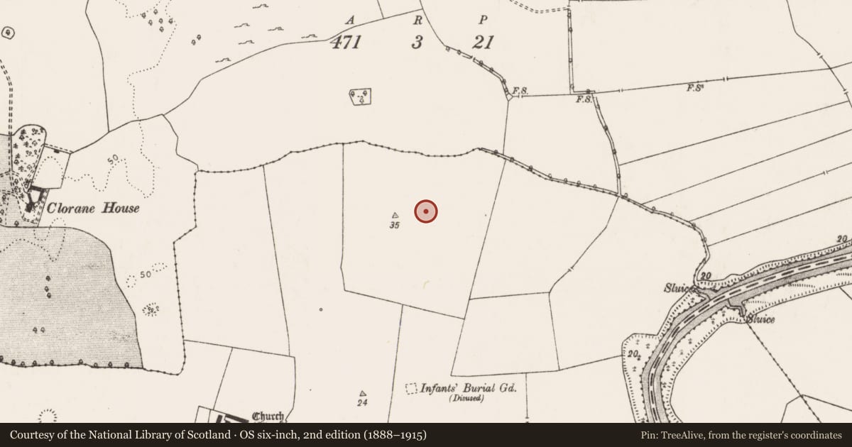 Ordnance Survey six-inch map, 2nd edition (1888–1915) covering the location of Field system, Kilcurly, County Limerick, with a pin at the register's coordinates